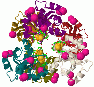 Image Biol.Unit 1 - manually
