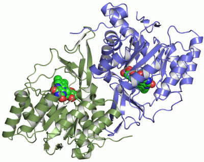 Image Asym./Biol. Unit - manually