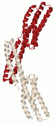 Image Biol.Unit 1 - manually