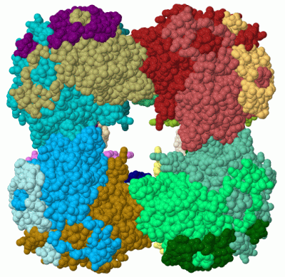 Image Biol.Unit 1 - manually