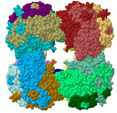 Image Biol.Unit 1 - manually