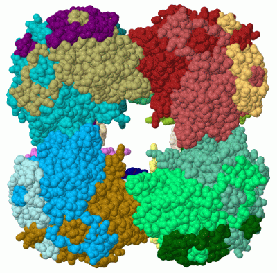 Image Biol.Unit 1 - manually