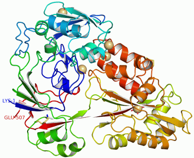 Image Asym./Biol. Unit - manually