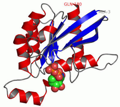 Image Asym./Biol. Unit - manually