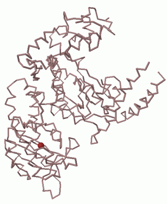 Image Asym./Biol. Unit - manually