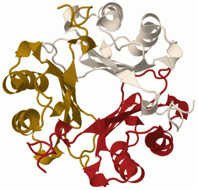 Image Biol.Unit 1 - manually