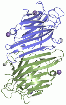 Image Asym.Unit - manually