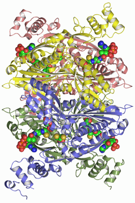 Image Asym./Biol. Unit - manually