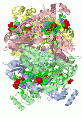 Image Asym./Biol. Unit - manually