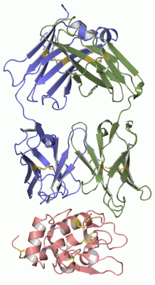 Image Asym./Biol. Unit - manually