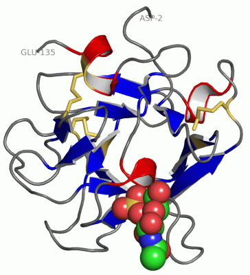 Image Asym./Biol. Unit - manually