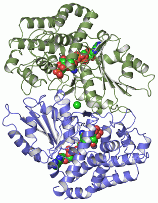 Image Asym./Biol. Unit - manually