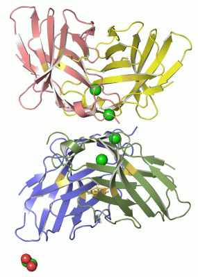 Image Asym.Unit - manually