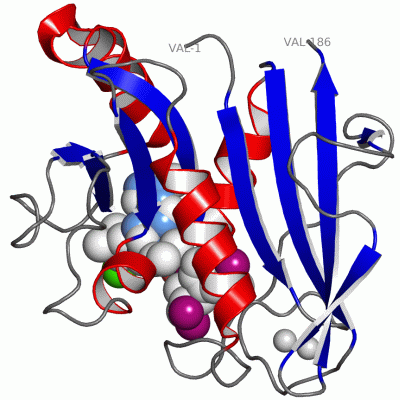 Image Asym./Biol. Unit - manually