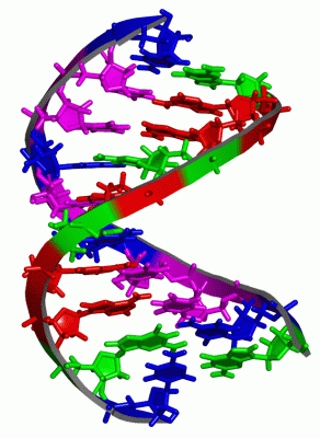 Image NMR Structure - manually