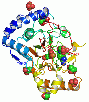 Image Asym./Biol. Unit - manually