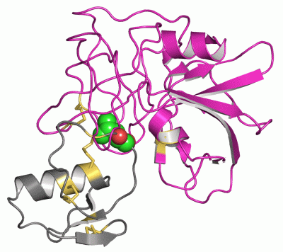 Image Asym./Biol. Unit - manually