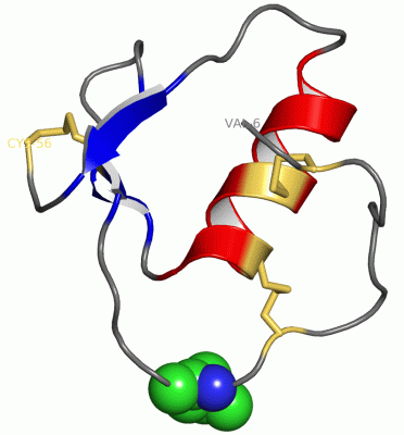 Image Asym./Biol. Unit - manually