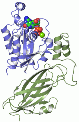 Image Asym./Biol. Unit - manually