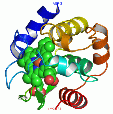 Image Asym./Biol. Unit - manually