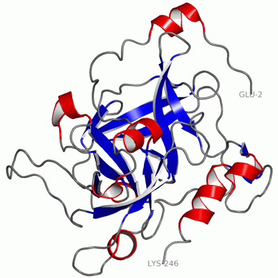 Image Asym./Biol. Unit - manually