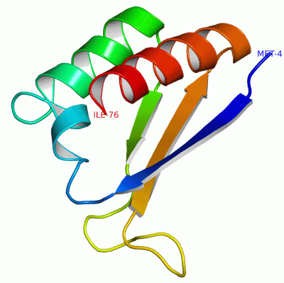 Image Asym./Biol. Unit - manually