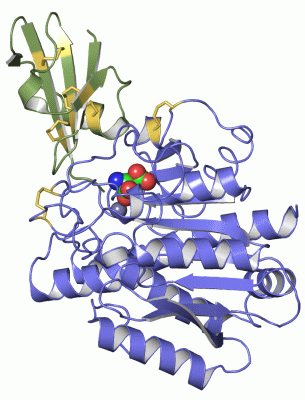 Image Asym./Biol. Unit - manually