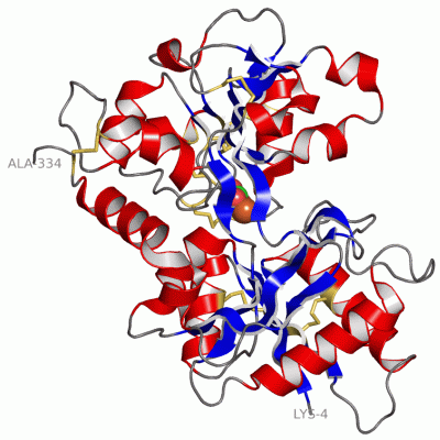 Image Asym./Biol. Unit - manually