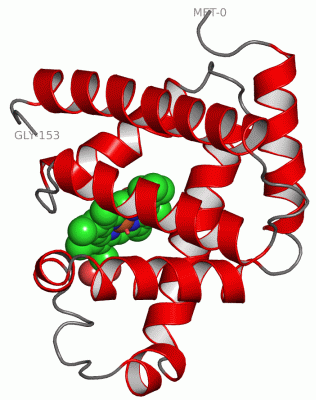 Image Asym./Biol. Unit - manually