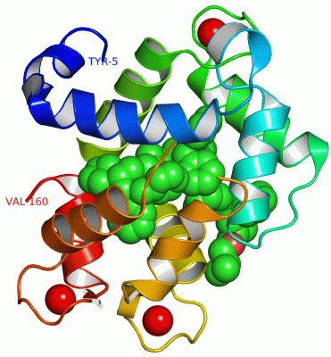 Image Asym./Biol. Unit - manually