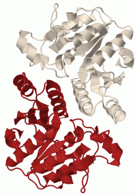 Image Biol.Unit 1 - manually