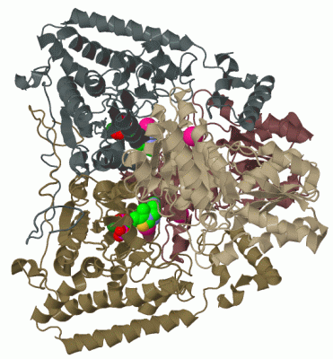 Image Biol.Unit 1 - manually