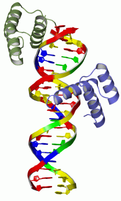 Image Asym./Biol. Unit - manually