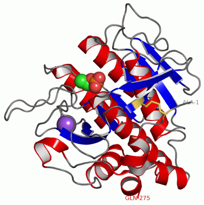 Image Asym./Biol. Unit - manually