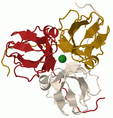 Image Biol.Unit 1 - manually