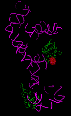 Image Asym./Biol. Unit - manually