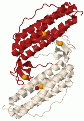 Image Biol.Unit 1 - manually