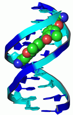 Image Asym./Biol. Unit - manually