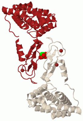 Image Biol.Unit 1 - manually