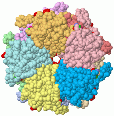 Image Asym./Biol. Unit - manually