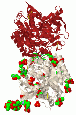 Image Biol.Unit 1 - manually