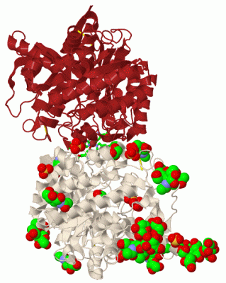 Image Biol.Unit 1 - manually