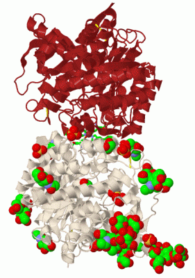 Image Biol.Unit 1 - manually