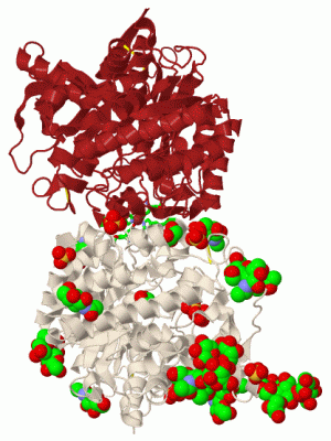 Image Biol.Unit 1 - manually