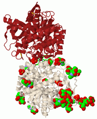 Image Biol.Unit 1 - manually