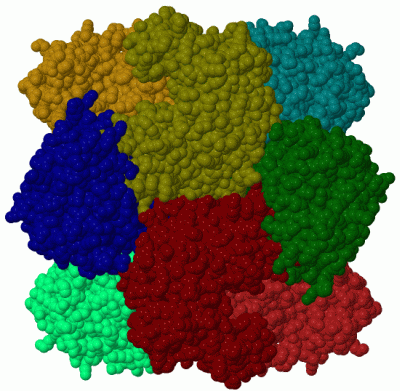 Image Biol.Unit 1 - manually