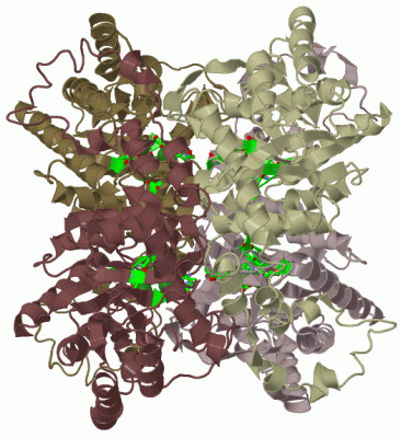 Image Biol.Unit 1 - manually