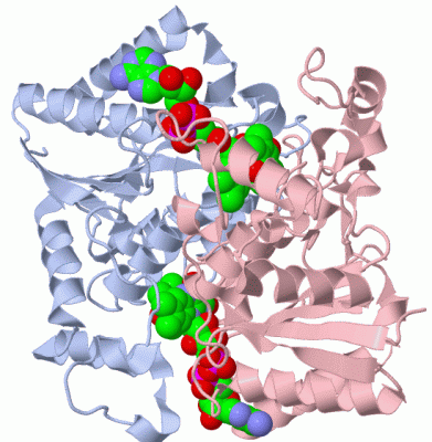 Image Biol.Unit 1 - manually