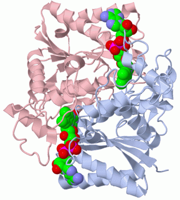 Image Biol.Unit 1 - manually
