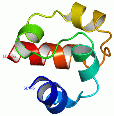 Image Asym./Biol. Unit - manually